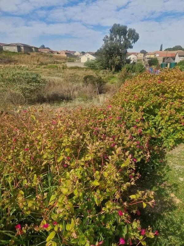 0 Bedroom Property for Sale in Zakariyya Park Gauteng