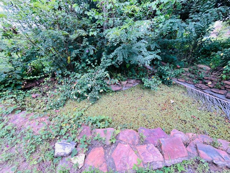 31 Bedroom Property for Sale in Krugersdorp Gauteng