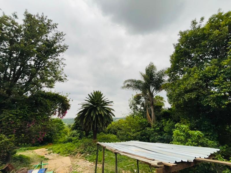 31 Bedroom Property for Sale in Krugersdorp Gauteng