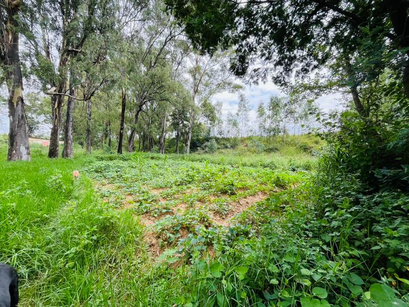 31 Bedroom Property for Sale in Krugersdorp Gauteng