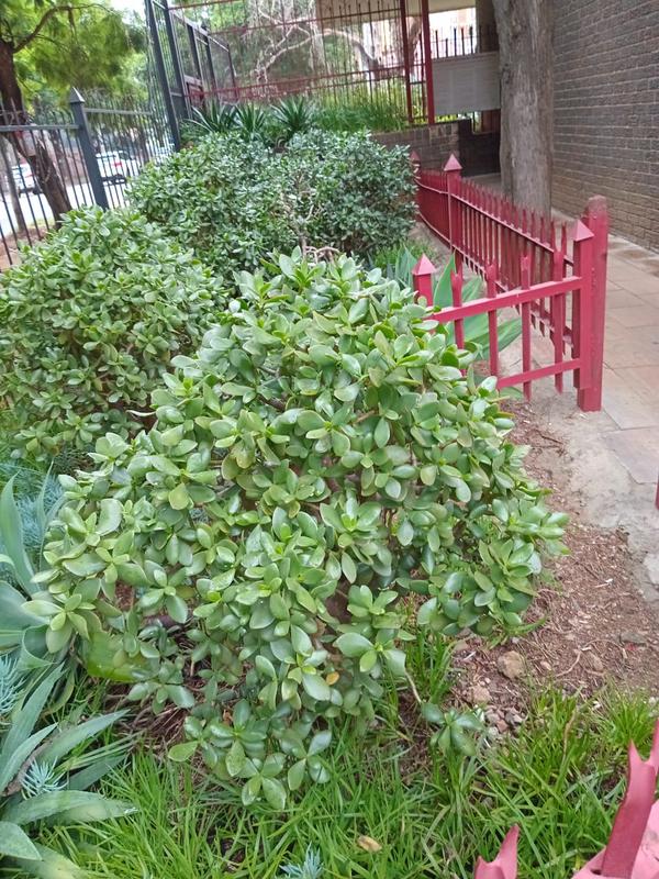 3 Bedroom Property for Sale in Pretoria Central Gauteng