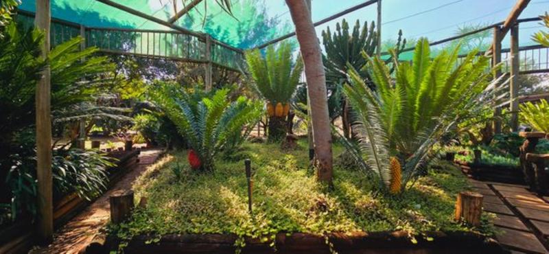 0 Bedroom Property for Sale in Annlin Gauteng