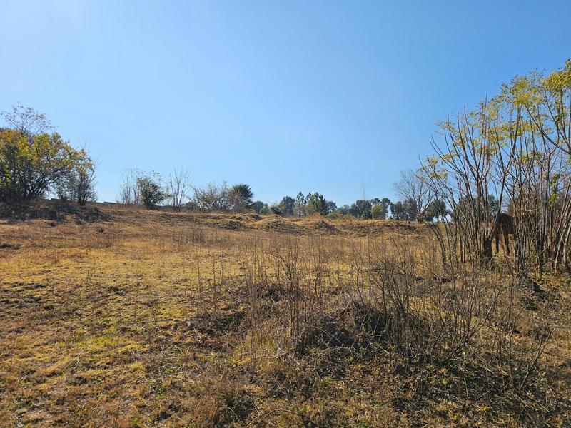 0 Bedroom Property for Sale in Ruimsig Gauteng