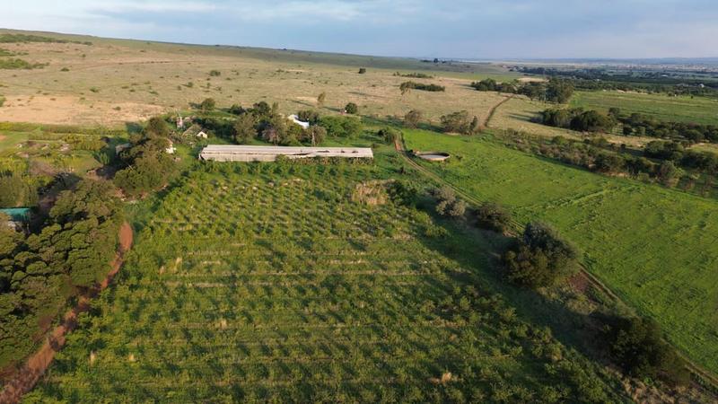 3 Bedroom Property for Sale in Westonaria Gauteng