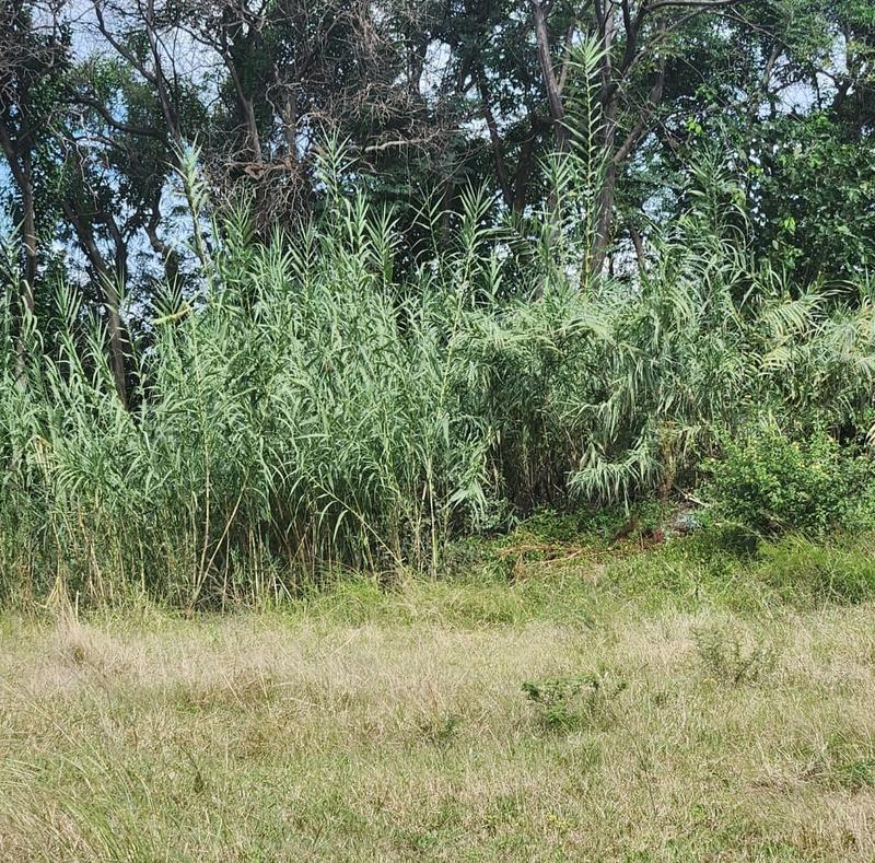 2 Bedroom Property for Sale in Haakdoornboom Gauteng