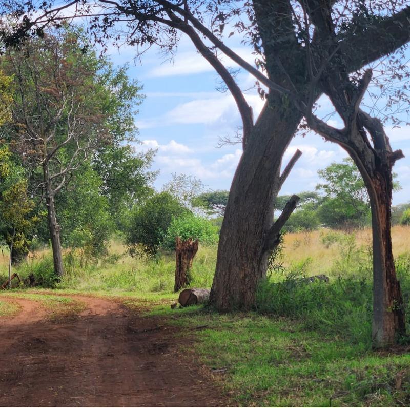 2 Bedroom Property for Sale in Haakdoornboom Gauteng