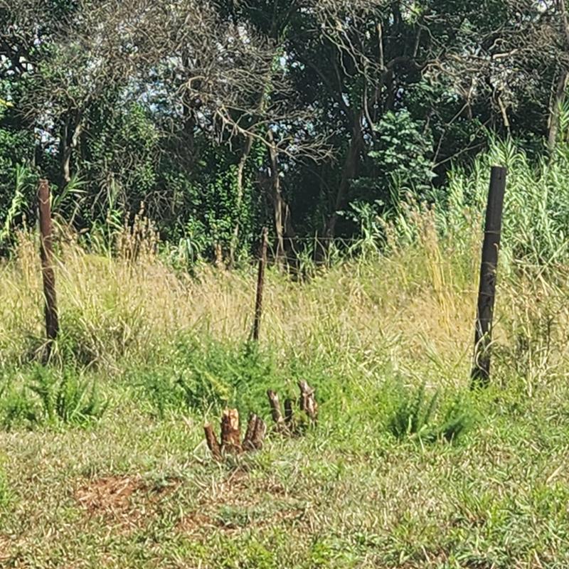 2 Bedroom Property for Sale in Haakdoornboom Gauteng