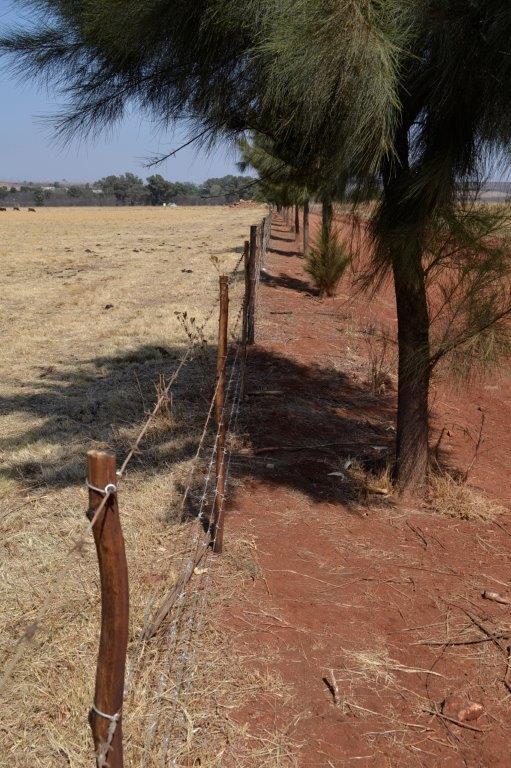 11 Bedroom Property for Sale in Elandsfontein AH Gauteng