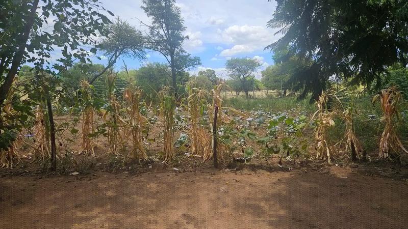 4 Bedroom Property for Sale in Lusthof Gauteng