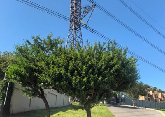 2 Bedroom Property for Sale in Sunnyrock Gauteng