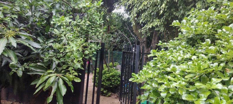 4 Bedroom Property for Sale in Randburg Central Gauteng