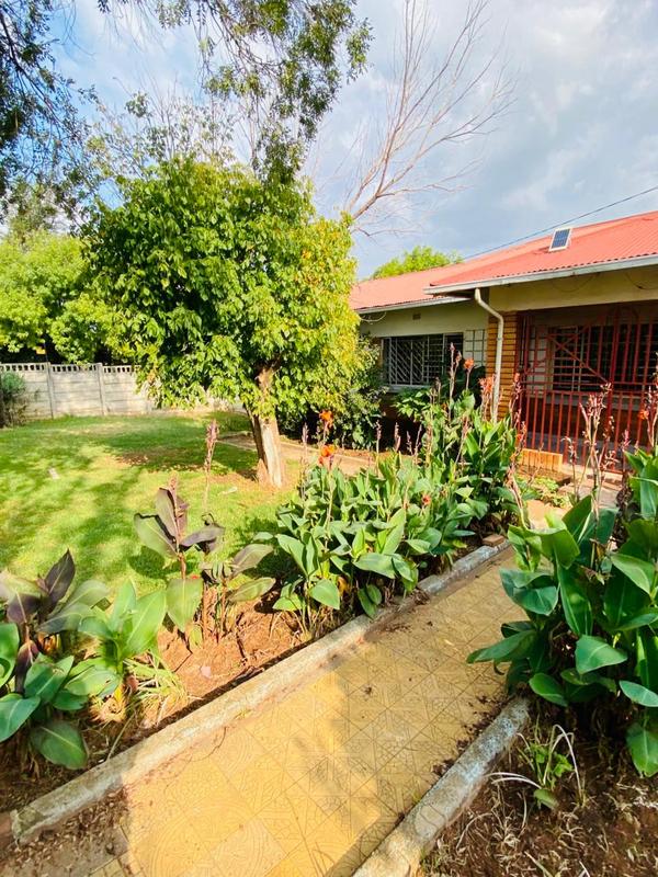 To Let 3 Bedroom Property for Rent in Primrose East Gauteng