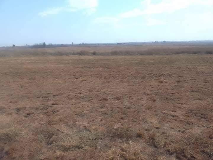 0 Bedroom Property for Sale in Protea Glen Gauteng