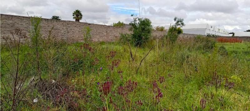 0 Bedroom Property for Sale in Glen Austin Gauteng