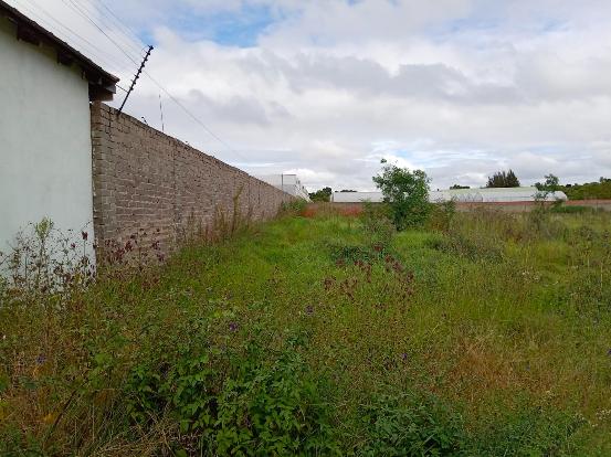 0 Bedroom Property for Sale in Glen Austin Gauteng