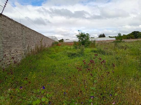 0 Bedroom Property for Sale in Glen Austin Gauteng