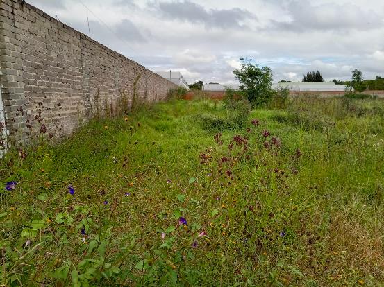 0 Bedroom Property for Sale in Glen Austin Gauteng