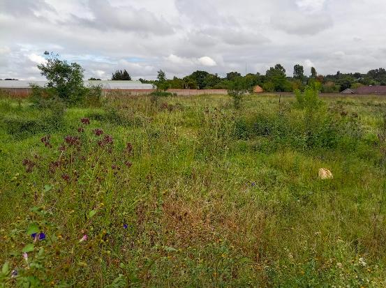 0 Bedroom Property for Sale in Glen Austin Gauteng