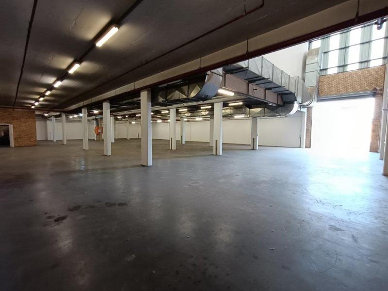 To Let commercial Property for Rent in Weltevreden Park Gauteng