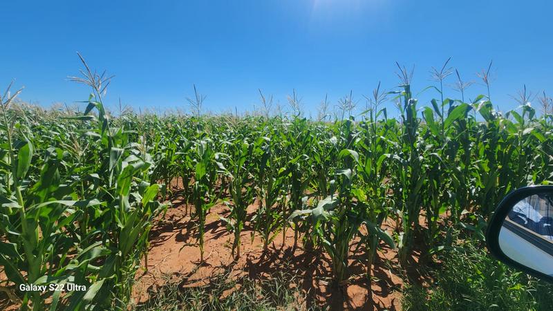 0 Bedroom Property for Sale in Witfontein Gauteng