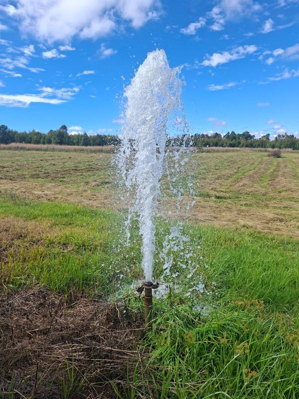 4 Bedroom Property for Sale in Witfontein Gauteng