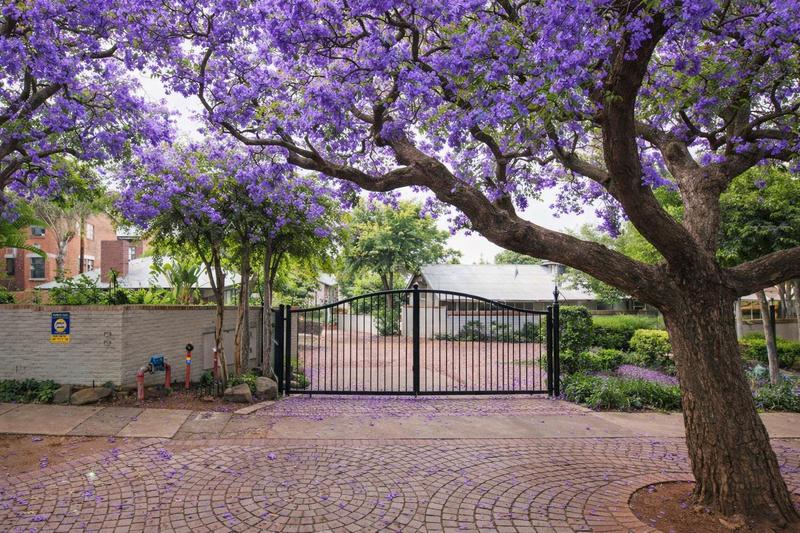 To Let 3 Bedroom Property for Rent in Brooklyn Gauteng