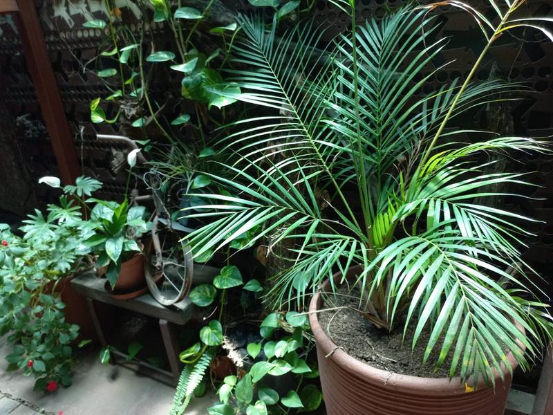 4 Bedroom Property for Sale in Claremont Gauteng