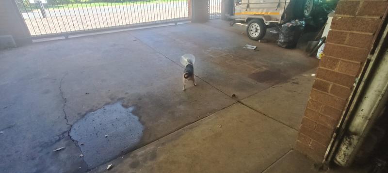 5 Bedroom Property for Sale in Pretoria Gardens Gauteng