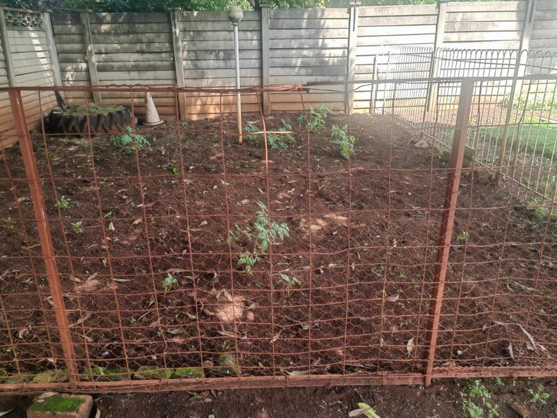 4 Bedroom Property for Sale in Valhalla Gauteng