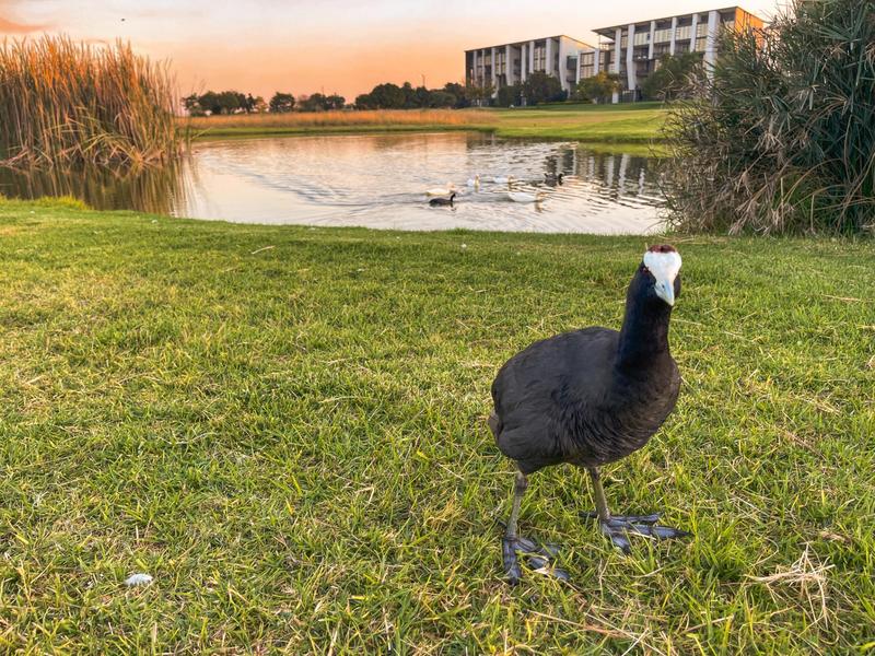 3 Bedroom Property for Sale in Ascend to Midstream Gauteng