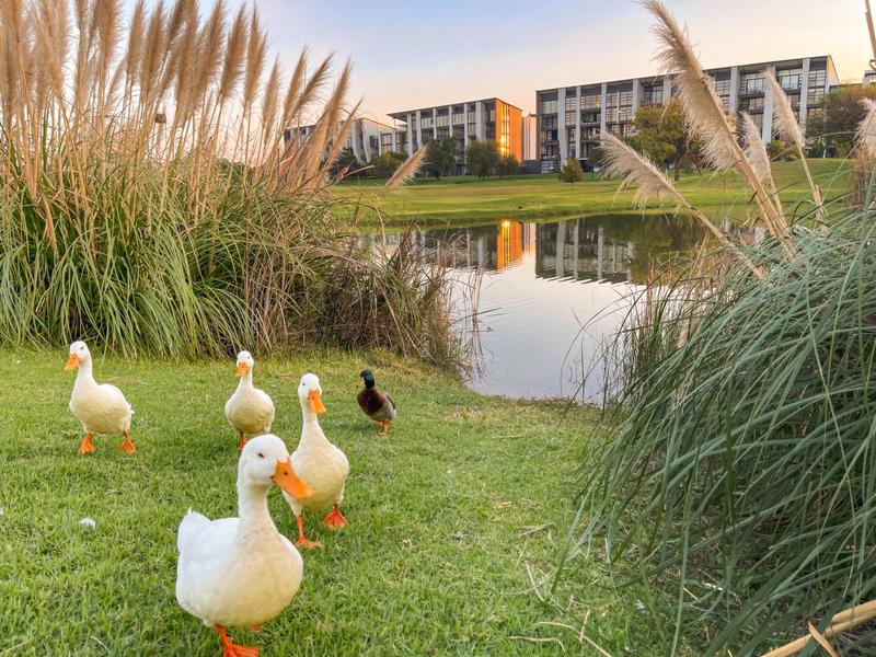 3 Bedroom Property for Sale in Ascend to Midstream Gauteng