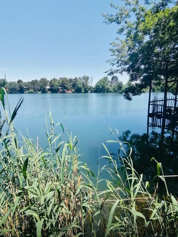 2 Bedroom Property for Sale in Primrose Gauteng