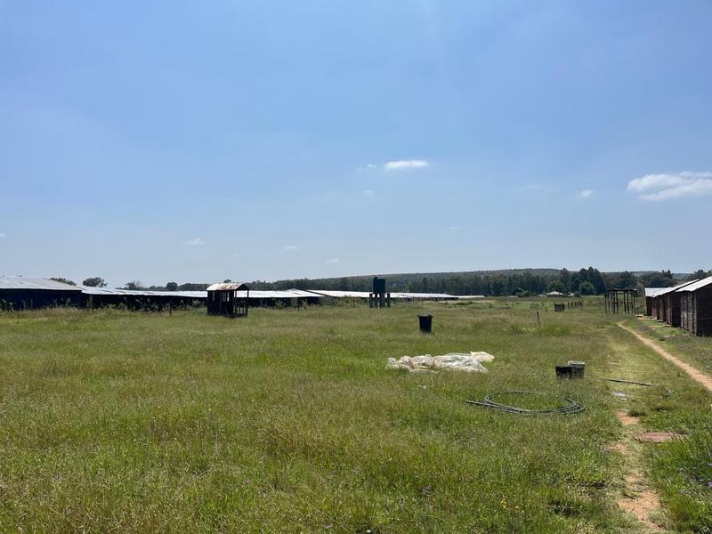 0 Bedroom Property for Sale in Walkerville Gauteng