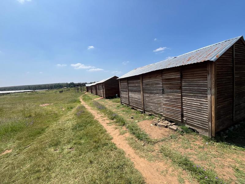 0 Bedroom Property for Sale in Walkerville Gauteng