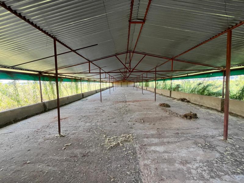 0 Bedroom Property for Sale in Walkerville Gauteng