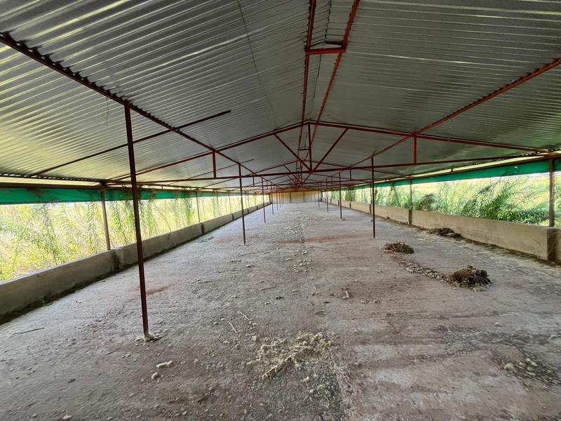 0 Bedroom Property for Sale in Walkerville Gauteng