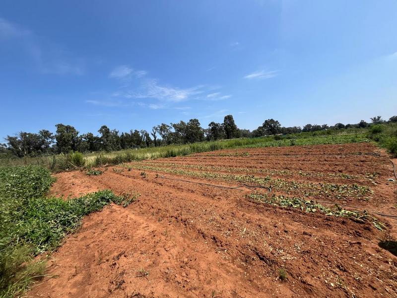 0 Bedroom Property for Sale in Walkerville Gauteng