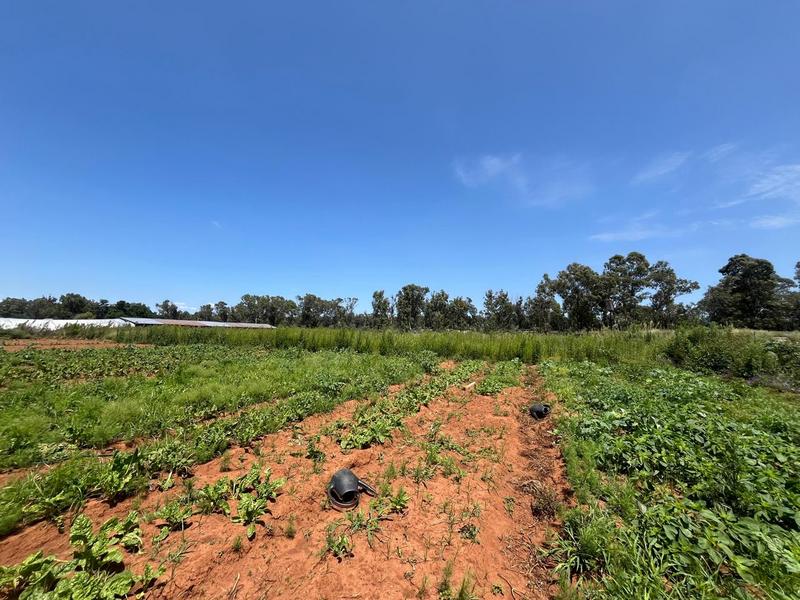 0 Bedroom Property for Sale in Walkerville Gauteng