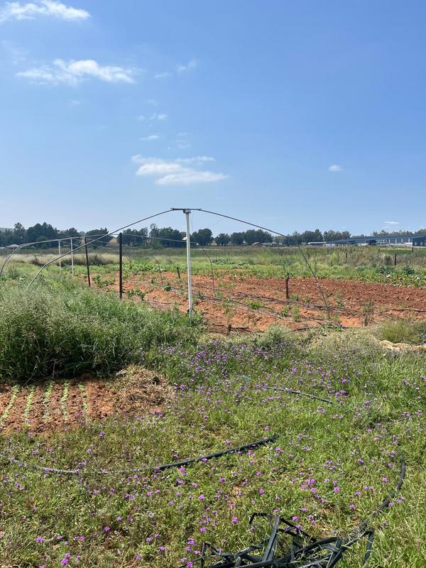 0 Bedroom Property for Sale in Walkerville Gauteng