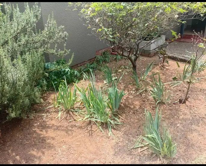 3 Bedroom Property for Sale in Benoni Gauteng