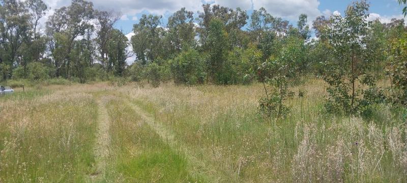 3 Bedroom Property for Sale in Meyerton Gauteng