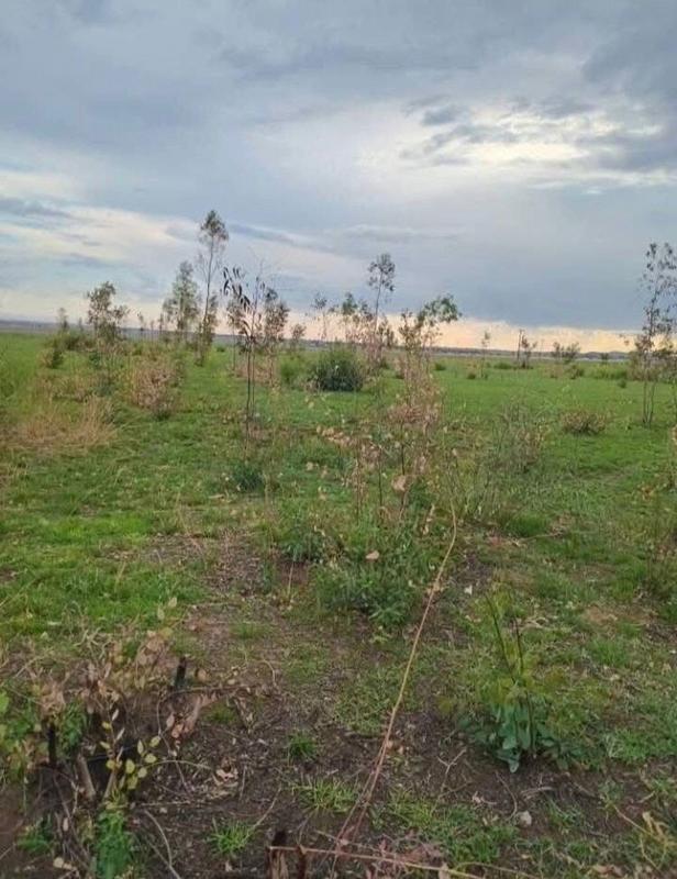 3 Bedroom Property for Sale in Meyerton Gauteng