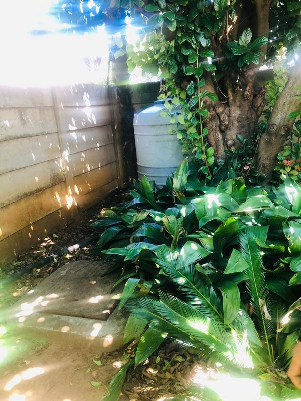 4 Bedroom Property for Sale in Bonaero Park Gauteng