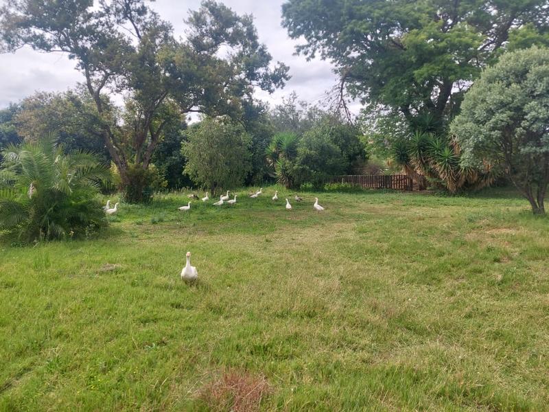 4 Bedroom Property for Sale in Magaliesmoot Gauteng