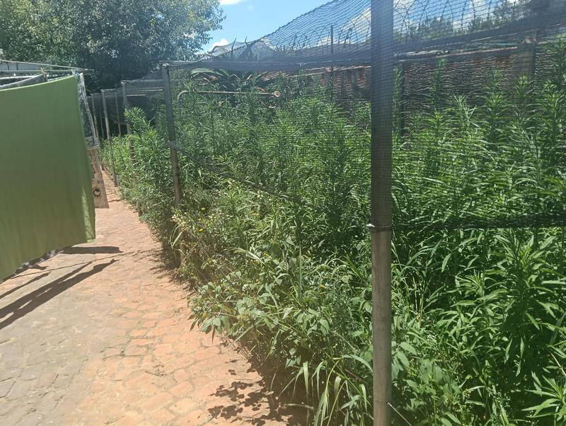 3 Bedroom Property for Sale in Dal Fouche Gauteng