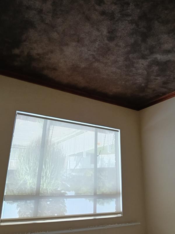 3 Bedroom Property for Sale in Randhart Gauteng