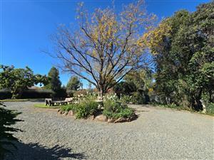 4 Bedroom Property for Sale in Walkerville Gauteng