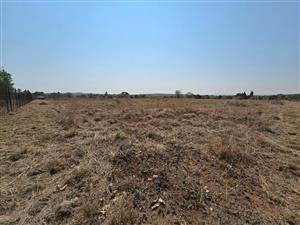 0 Bedroom Property for Sale in Blue Saddle Ranches Gauteng