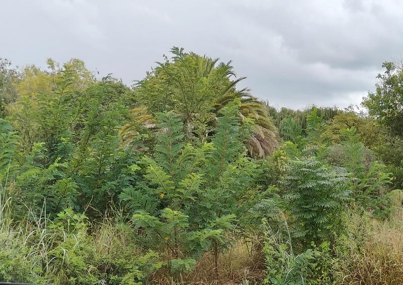 0 Bedroom Property for Sale in Raslouw Gauteng