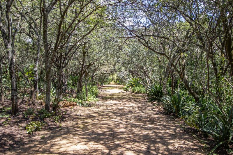 2 Bedroom Property for Sale in Blue Hills Country Estate Gauteng